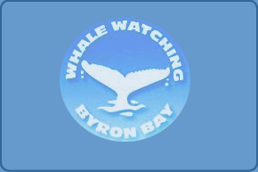 byron bay whale watching tour